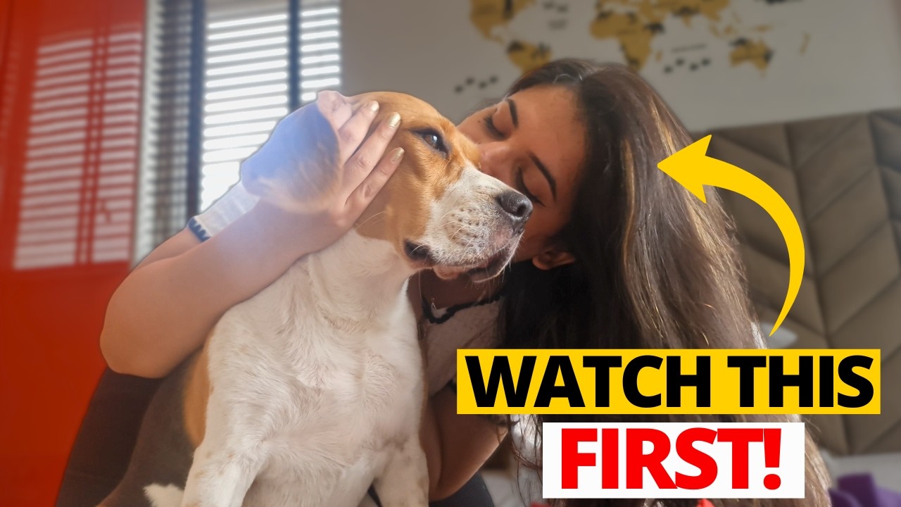 Before You Kiss Your Beagle, Watch This