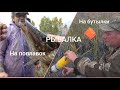 #щуканапоплавок #щуканабутылку  Ловля щуки на поплавок и на бутылки в сентябре. Рыбалка в Беларуси.