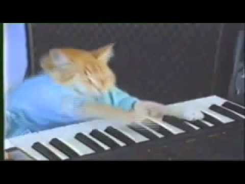 keyboard-cat-10-hours