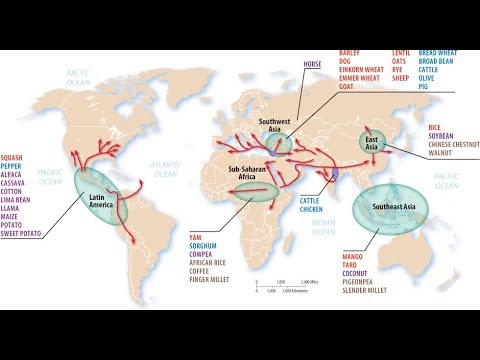 geography ap human agricultural hearths hearth slidesharedocs