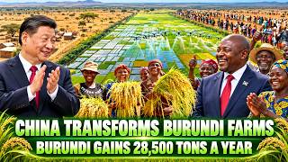 After Western Aid Failed, China Helped Burundi Grow 28,500 Tons of Food Grain Every Single Year!