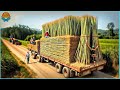 30 incroyables scies minires de bambou ultra rapides au niveau suprieur