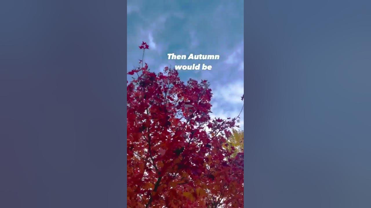 comment-what-autumn-is-youtube