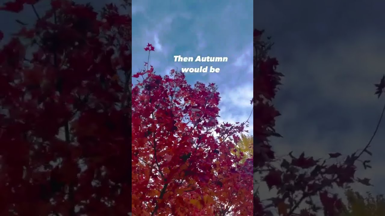 Comment What Autumn Is YouTube Comment What Autumn Is YouTube