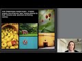 Assignment 1 - Color and Composition - Video