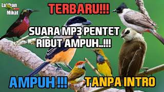 TERBARU/SUARA MP3 PIKAT BURUNG CENDET/PENTET RIBUT AMPUH!!! BUKTIKAN!!!