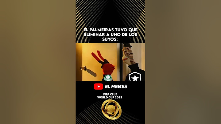 Adiós Botafogo 😔 #botafogo #palmeiras #brasil #mundialdeclubes #clubworldcup #elmemes #memes #futbol