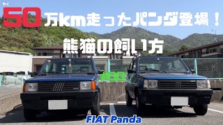 【驚愕】50万km走ったフィアットパンダ登場！日常メンテナンスのポイントと警告灯診断をマニアック解説！