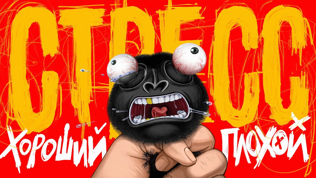 Два типа СТРЕССА. В чем разница?