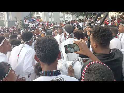 Irreecha Finfinnee Bara 2025 Dhiichisa Qeerroo 