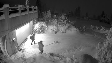 Reolink Captures: Cat Loving Snow