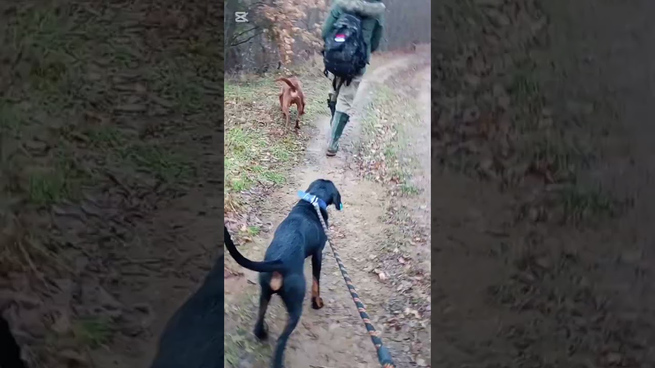 PUŠTANJE KEROVA-OBUKA NOVOG KERA SLOVAČKI KOPOV-HVALA NA GLEDANJU