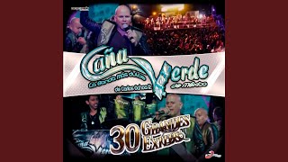 Video thumbnail of "Banda Caña Verde - La Cita"