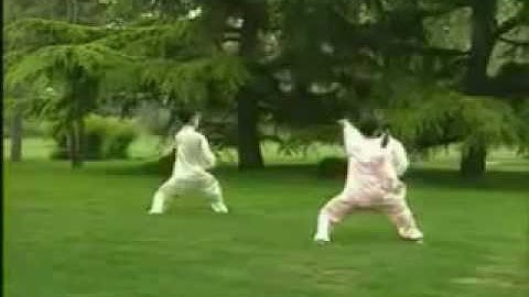 DƯƠNG THỨC THÁI CỰC PHIẾN 36 THỨC 楊式太極扇36式 全集