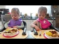 Twins try turkey cutlets