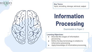 OCR GCSE Psychology - Memory - Information Processing