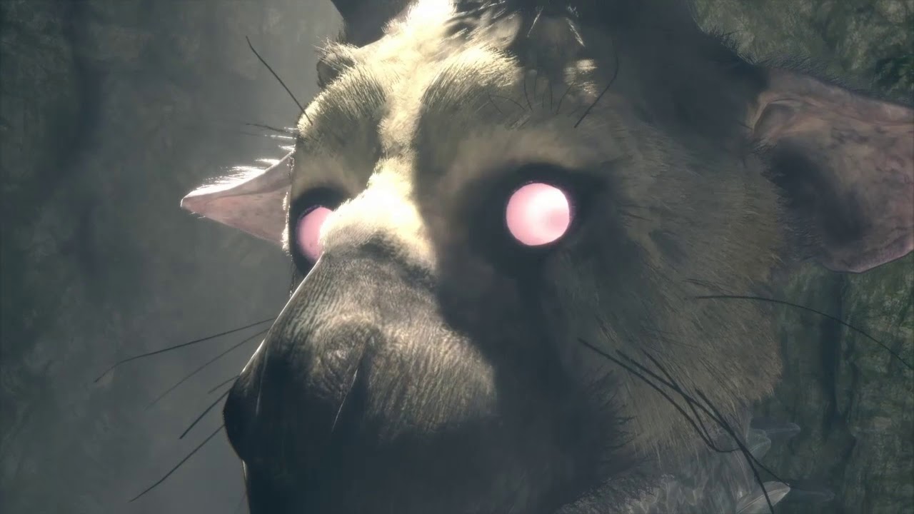 The Last Guardian Gameplay - YouTube KingJeremy77