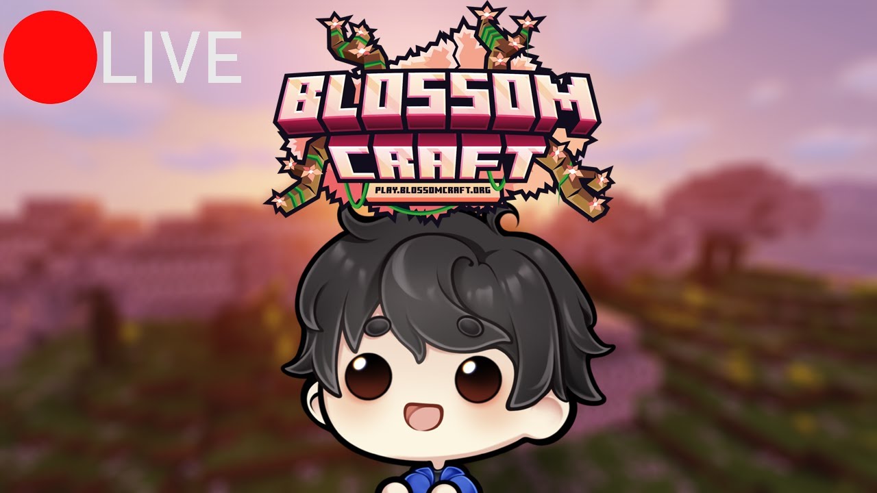 MINING ON play.blossomcraft.org