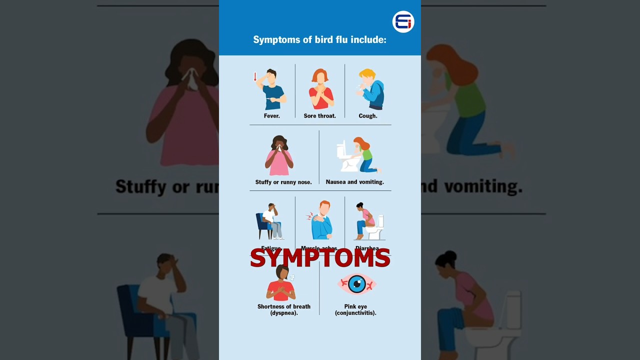 Bird Flu in Andhra Pradesh: Symptoms, Prevention & Latest Updates | Epitome | Best IAS Academy