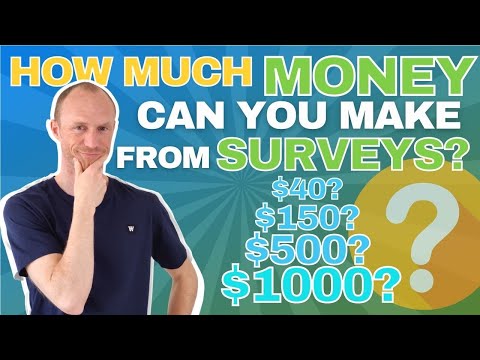 How Much Money Can You Make from Surveys? (Insights from REAL Survey Taker)