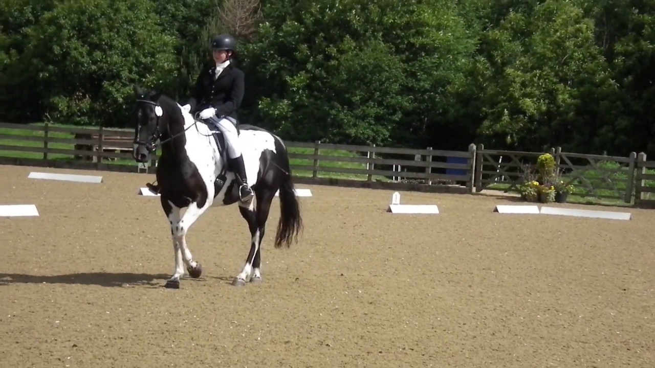 British Dressage Prelim 14 Eland Lodge YouTube British Dressage Prelim 14 Eland Lodge YouTube