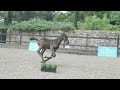 Elite Foal Auction 2022 | Lot 24 | PK Corera