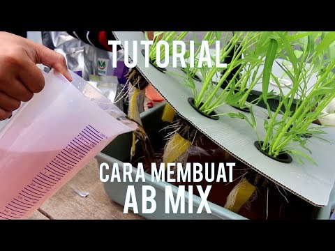 Cara Membuat Nutrisi Hidroponik AB Mix