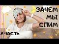 ② ЗАЧЕМ МЫ СПИМ? Фазы сна и как они работают.