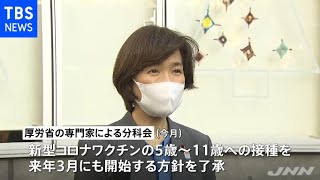 堀内ワクチン担当大臣 ５歳から１１歳の接種 早ければ来年３月開始