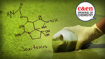 Is green algae edible?