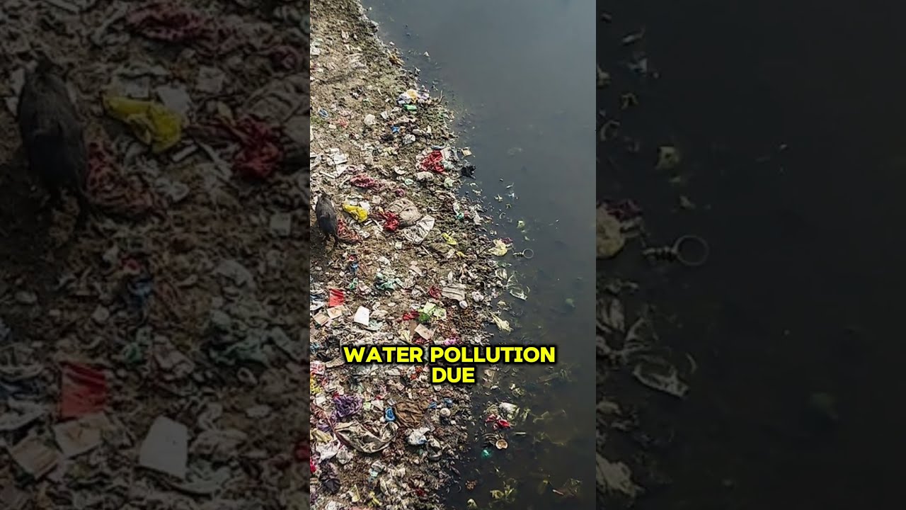 The 4 Dirtiest Cities In World Shorts