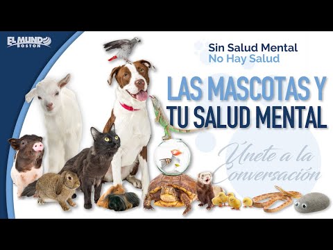 Las Mascotas y Tu Salud Mental