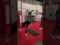 Full Body Workout: Single-Leg RDLs. 5 sets w/5+ for each leg.