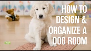 53+ Dog Room Ideas - How to Create a Dog Room - Happy Oodles