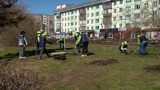 В парках и скверах Бийска появились новые зелёные насаждения (&quot;02.05.24г., Бийское телевидение)