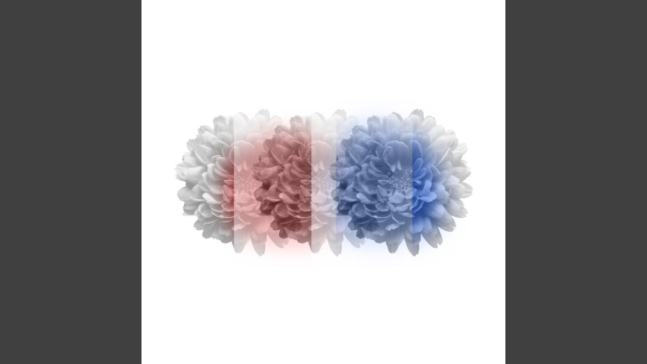 Spatial Interference adlı videoyu YouTube'da izle Spatial Interference adlı videoyu YouTube'da izle