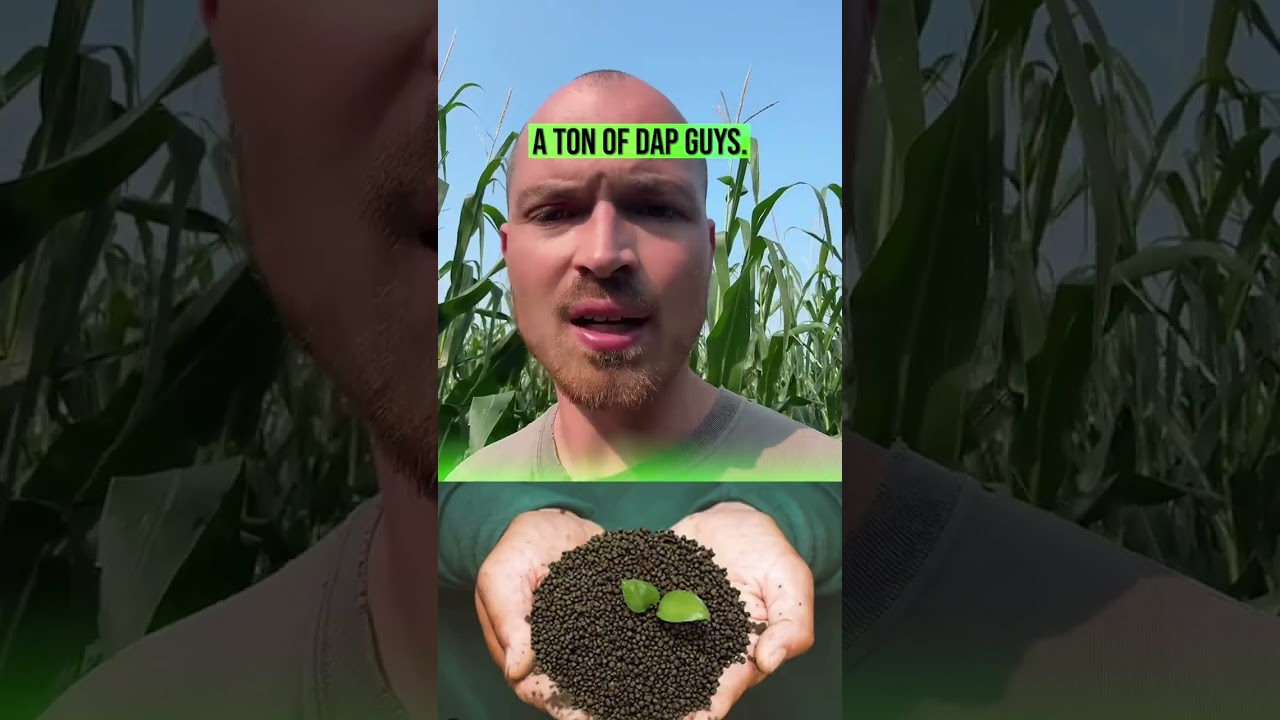 Does Starter Fertilizer Work?