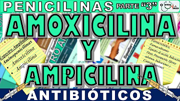 ¿Qué enfermedades puede curar la amoxicilina?