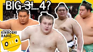January Preview: Yokozunas and Ozekis Oh My