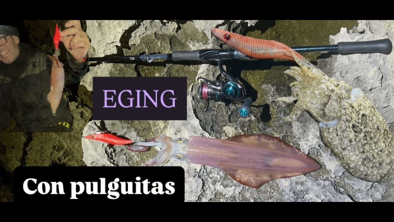 EGING CON PULGUITAS (VALE LA PENA DESPLAZARSE)