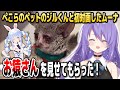 ぺこらハウスでお猿のジル君との初対面を果たしたムーナ【ホロライブID切り抜き/兎田ぺこら/ムーナ・ホシノヴァ/日本語翻訳】