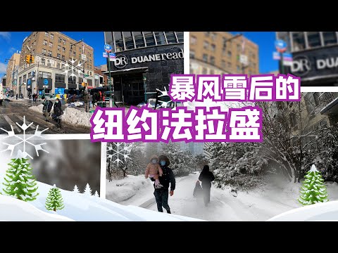 纽约十年一遇暴风雪 华裔社区法拉盛纪实|