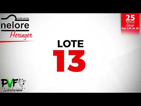 LOTE 13