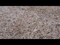 No-till тяжко спланувати свої дії