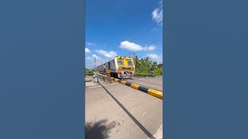 Katwa Emu Local skip Railgate #shorts