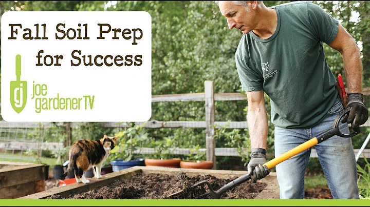 How to Prepare Your Soil with Amendments in Fall