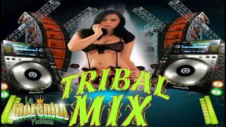 tribal mix by La morenita poblana 644 views 1 year ago 10 minutes, 49 seconds