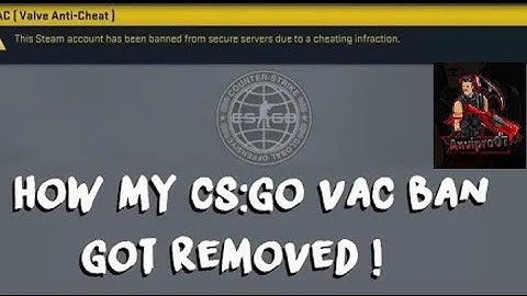 HOW TO REMOVE VAC BAN in STEAM CS GO ANY GAME 2024 Updates