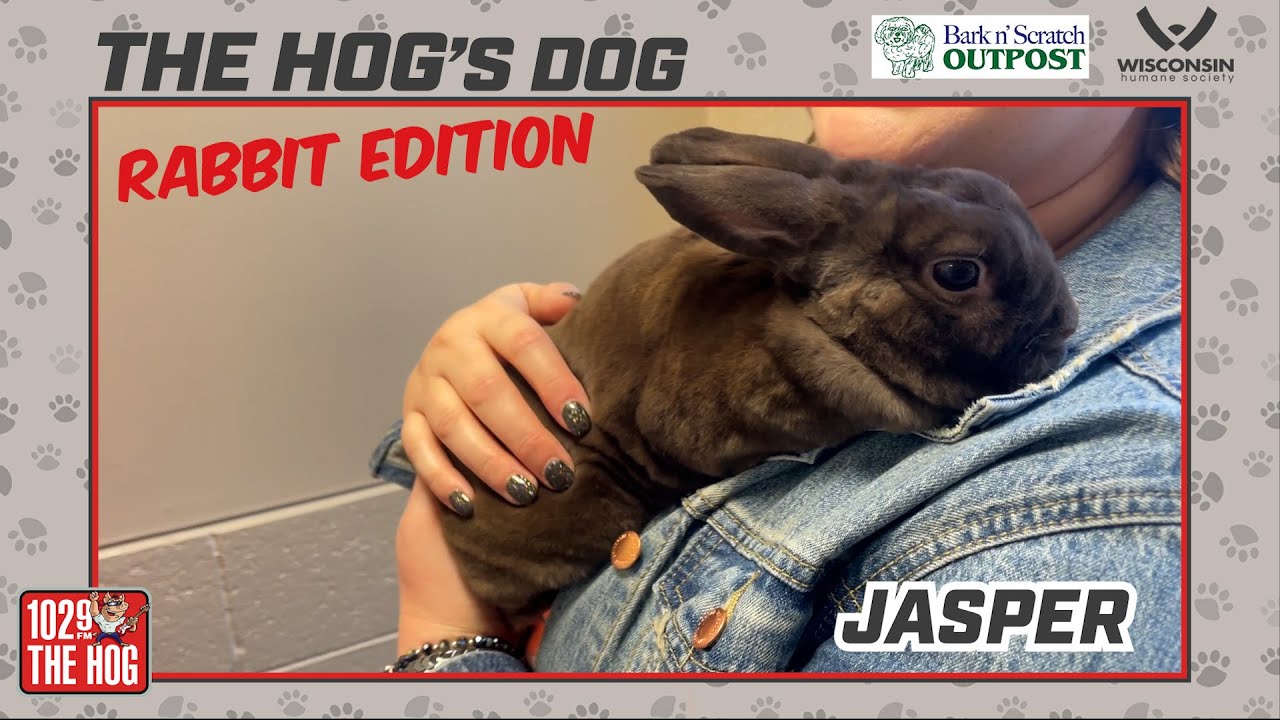 The HOG's Dog - October 24, 2023