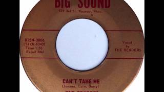 The Benders -  Can't Tame Me{1966}